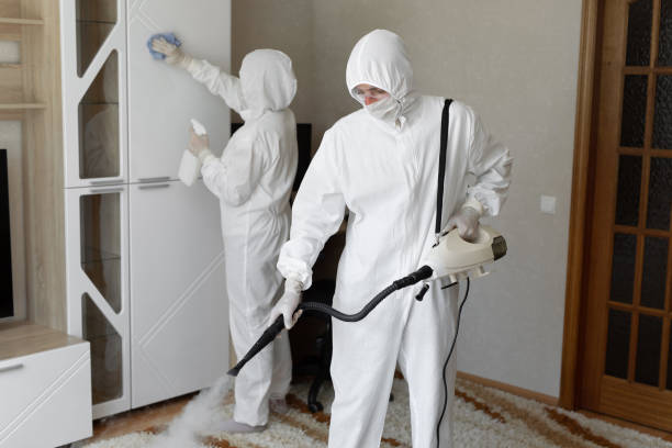 Certified Mold Removal in Somerset, NJ