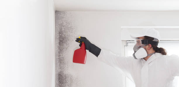 Crawl Space Mold Removal in Somerset, NJ